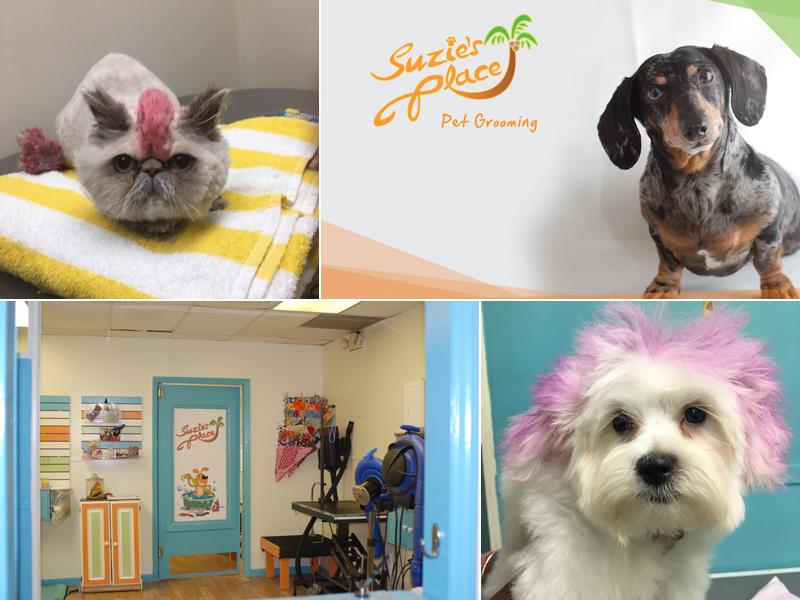 Suzie's Place Pet Grooming