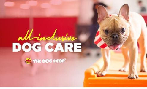 The Dog Stop - Stuart, Florida