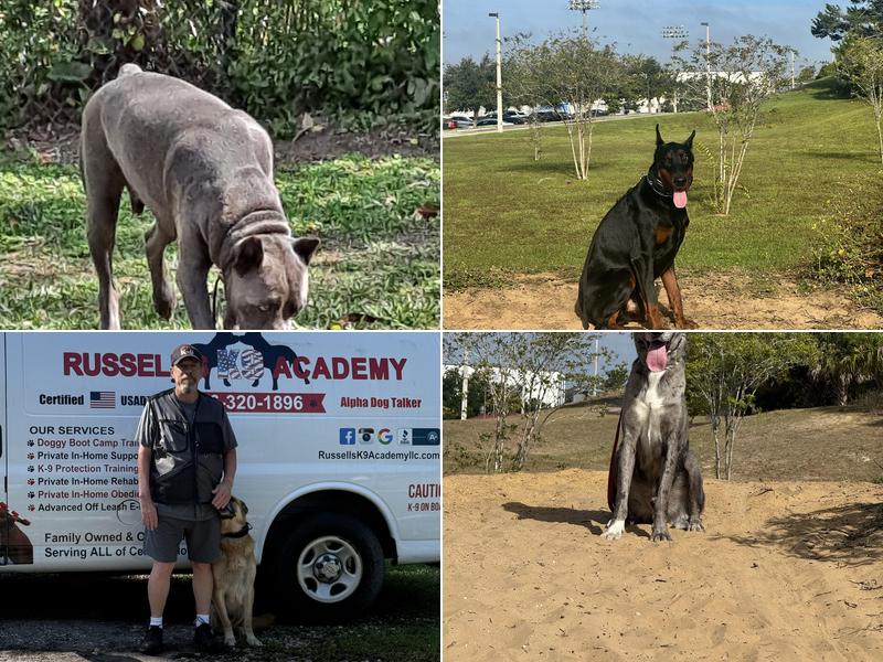 Russell's K9 Academy
