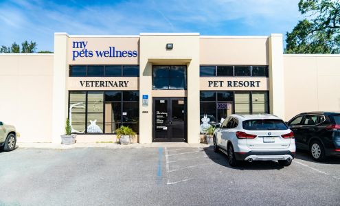 My Pets Wellness — Daytona Beach (Dogtona Beach)