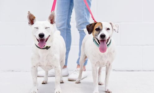 Humane Society of Sarasota County