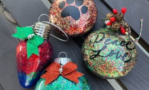 Beneva Animal Hospital Inc: Paxson-Rollins Lisa J DVM