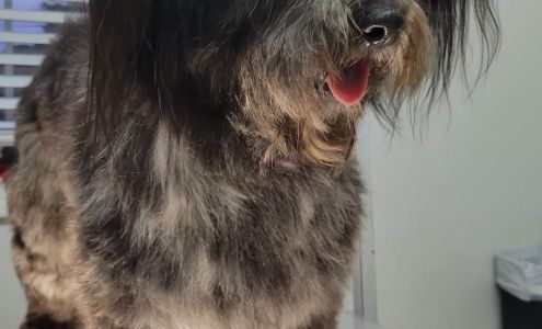 Avondale Yankee Clipper Avondale Estates