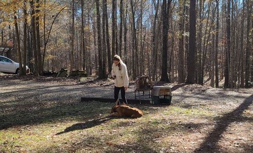 Mulberry Creek Kennels Fortson