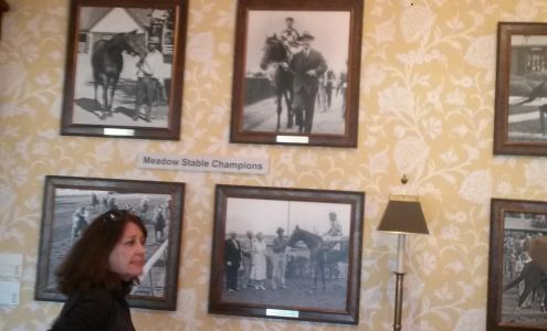 Four Paws Pooler Grooming