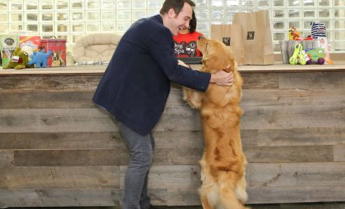 New York Dog Spa & Hotel