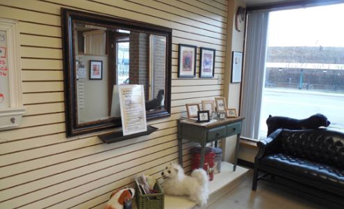 The Dog Wash - Wilmette