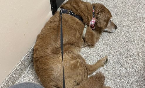 McKillip Animal Hospital