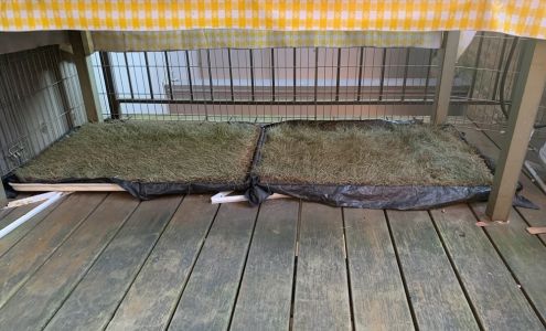 Pet Patio Pickup
