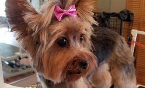 FurBabies Grooming Salon Le Claire