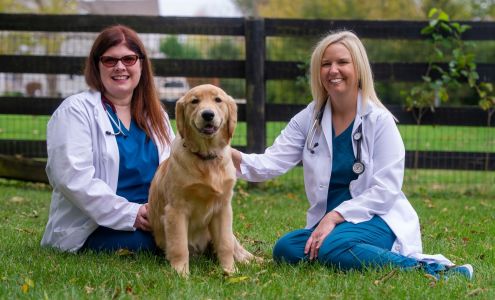 PetVet365 Pet Hospital Louisville / Jeffersontown