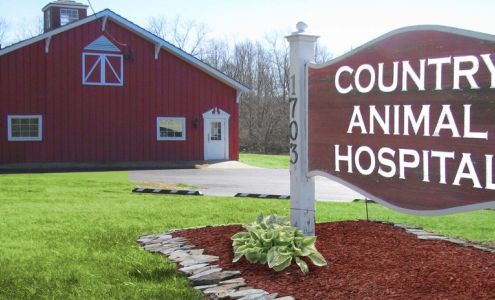 Reinhart Consuela DVM