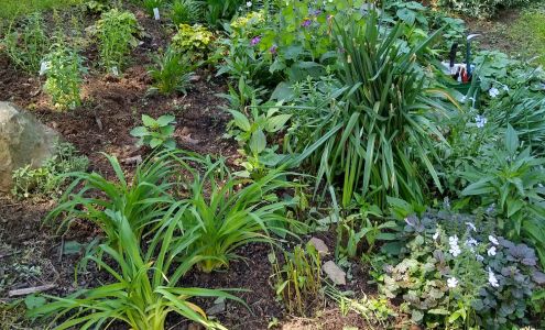 Grasshopper Garden Escapes, Inc. Knoxville