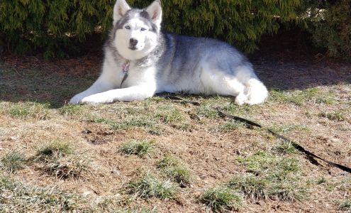 Harvest Moon Pet Boarding Boonsboro