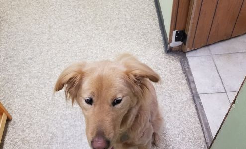 Marymont Animal Hospital Inc Silver Spring