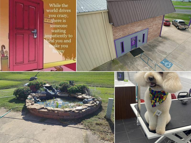 Luxury Grooming Rooming and Daycare