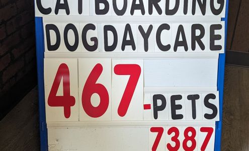 Kim's Dog & Cat Grooming Kim's Pet Resort LLC Granby Ma Granby