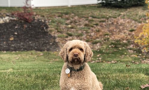 Fur N Feathers Litchfield