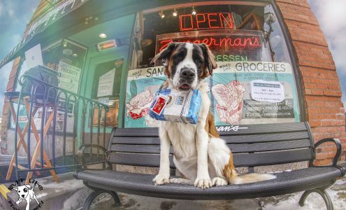 Ruff Life Photography