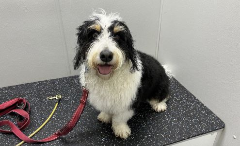 Scrubbers Self-Serve Dog Wash & Professional Grooming - Rochester Hills