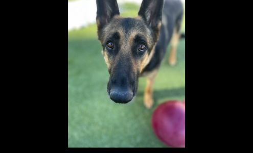 Camp Wagalot Stockbridge