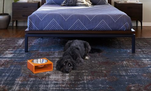 Unleashed Life Springfield