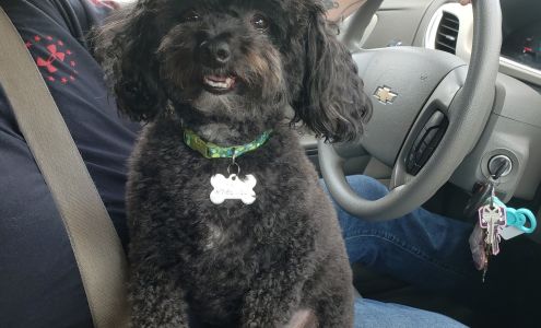 The Pet Cottage Willard