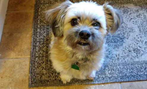 Karen's Dog Grooming-Boarding Centertown