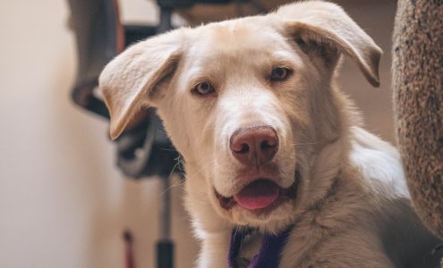 Humane Society of Western Montana