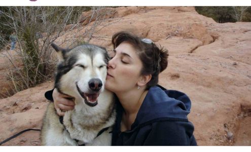 Two Bear Healing Arts | Animal Communication + Reiki Valley Cottage