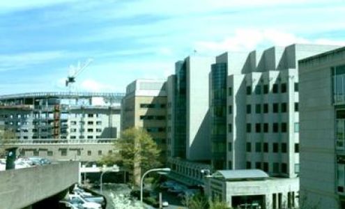 Muddy Paws Bridgeport