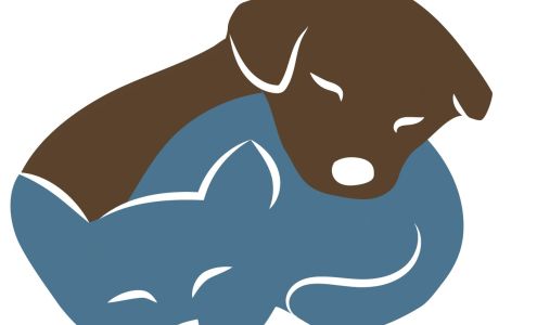 Creature Comforts Homestead Kirkville