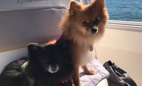 Pet Estates Inc Melrose