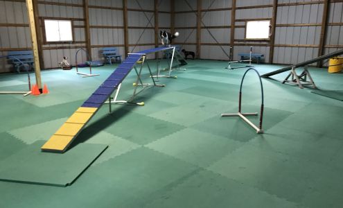 Heather's Dog School (formerly Clever Paws Training) Corfu