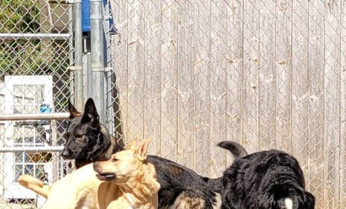 East Concord Canine Retreat East Concord