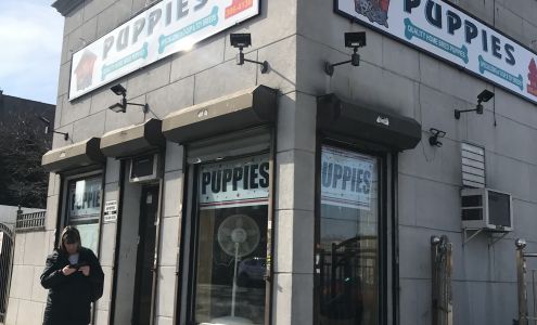 Puppy Boutique