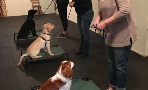 People Training For Dogs Valley Cottage