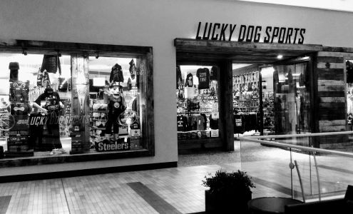 Lucky Dog Sports