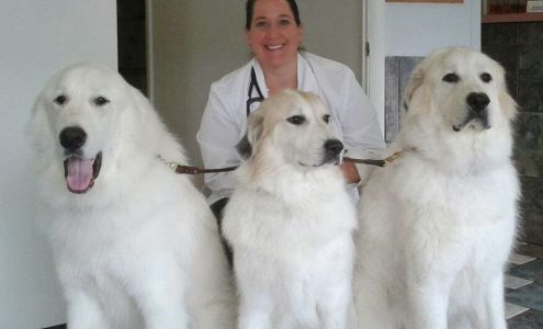 Lake Wheeler Veterinary Hospital