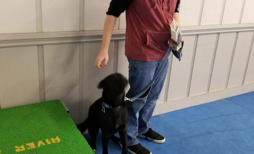 River Run Dog Training