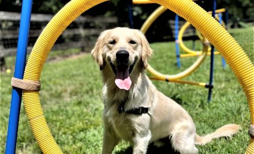 Tuscarora's Country Club for Dogs Mount Pleasant