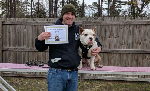 Purrfect Pooches Dog Training Holly Ridge