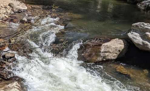 Doggone Fun Mount Ulla