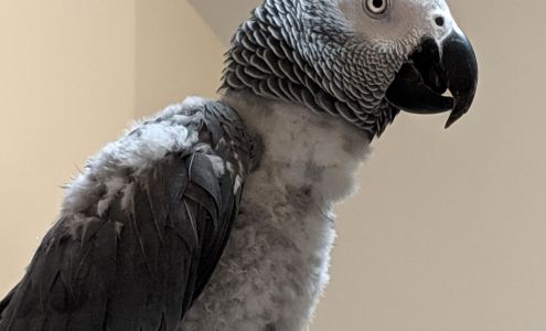 Franklin Lakes Animal Hospital