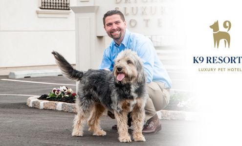 K9 Resorts Luxury Pet Hotel Fairfield