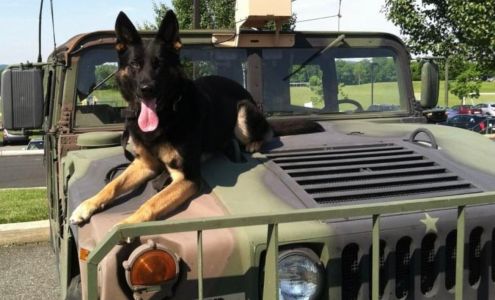 TouchStone Veterinary Center