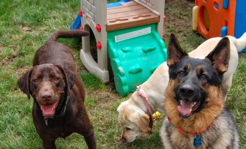 Best Friends Pet Hotel Windsor