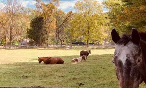 Cristonia Farm Stockton