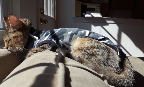 Rothman Animal Hospital