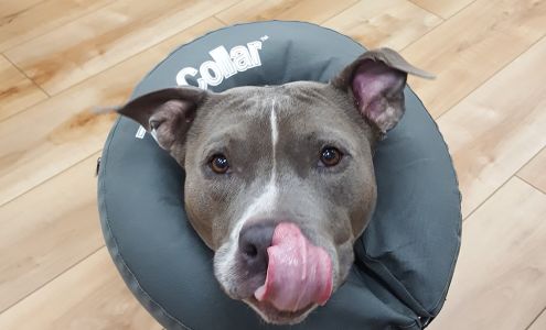 Neabore Veterinary Clinic